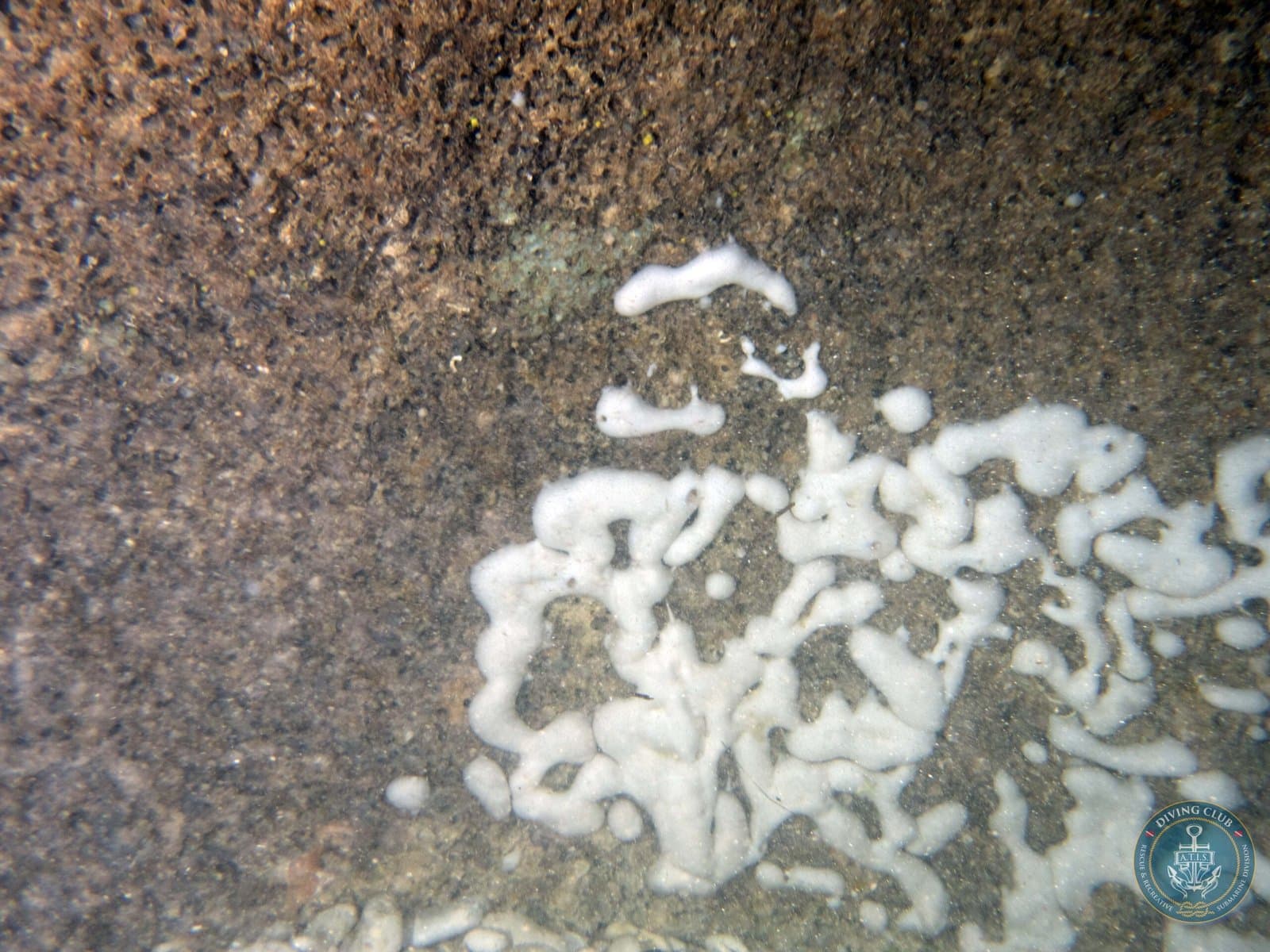 Immersioni in grotta 3