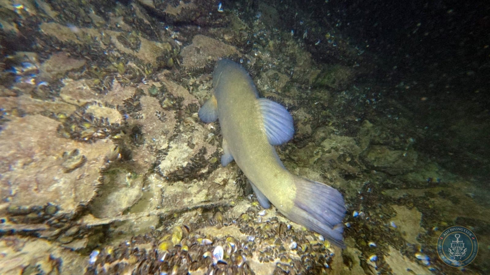 Immersioni in grotta 1