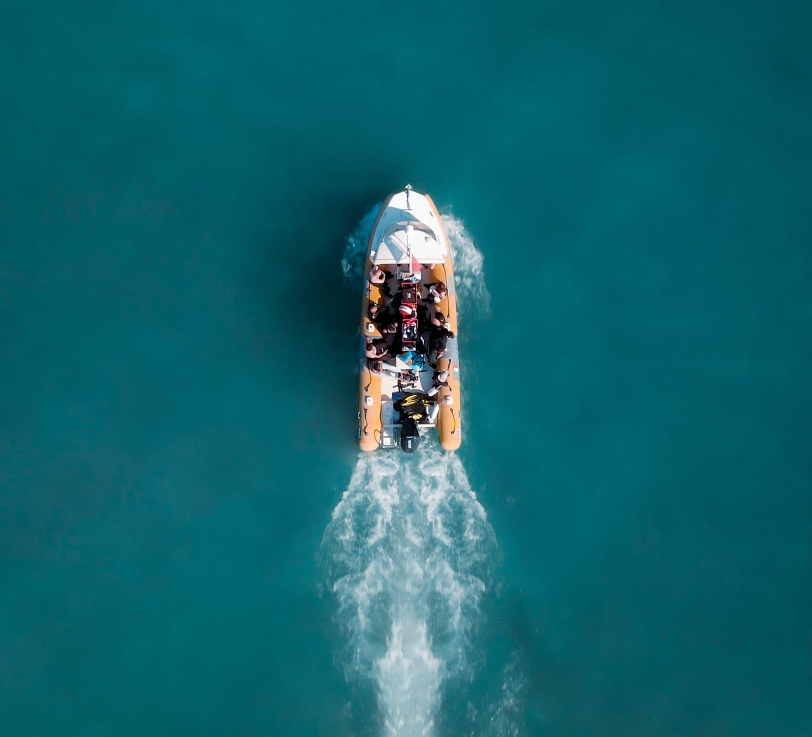 Immersioni da barca 4