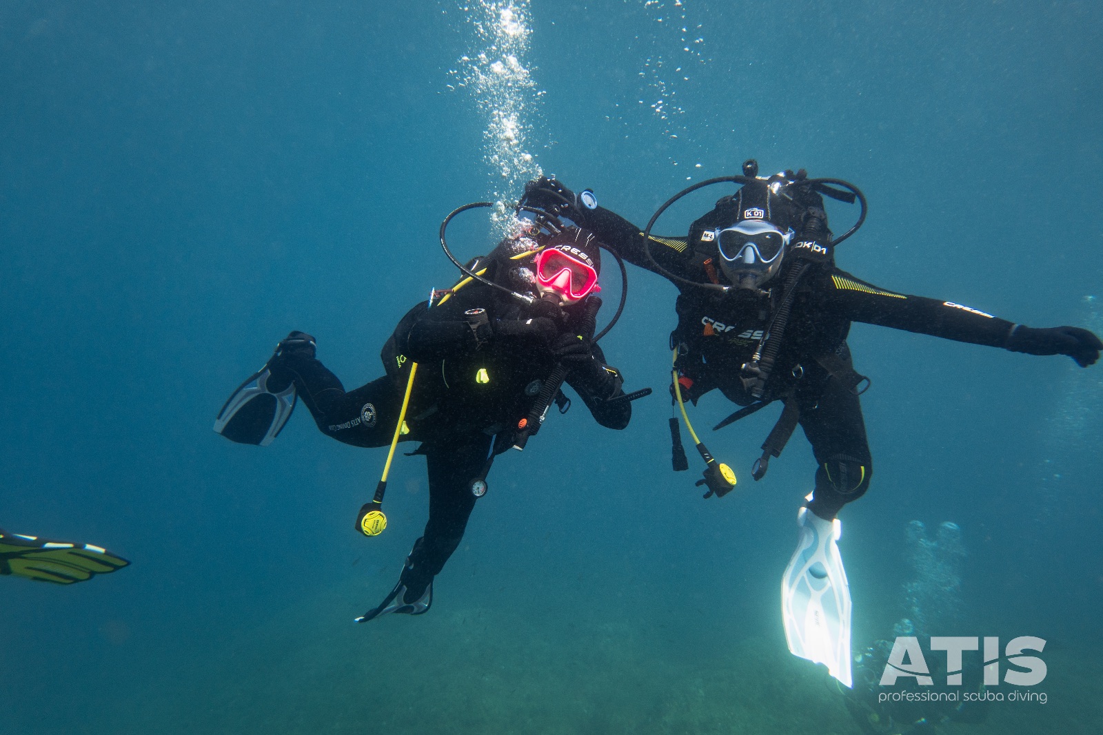 Vacanza Subacquea all'Isola d'Elba 2026 — 30