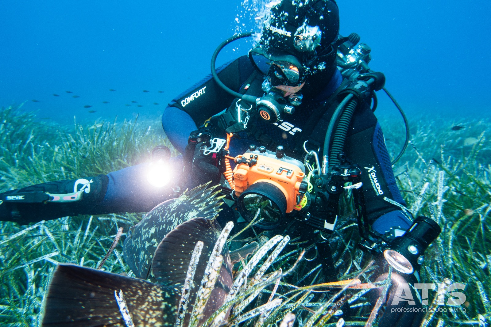 Vacanza Subacquea all'Isola d'Elba 2026 — 41