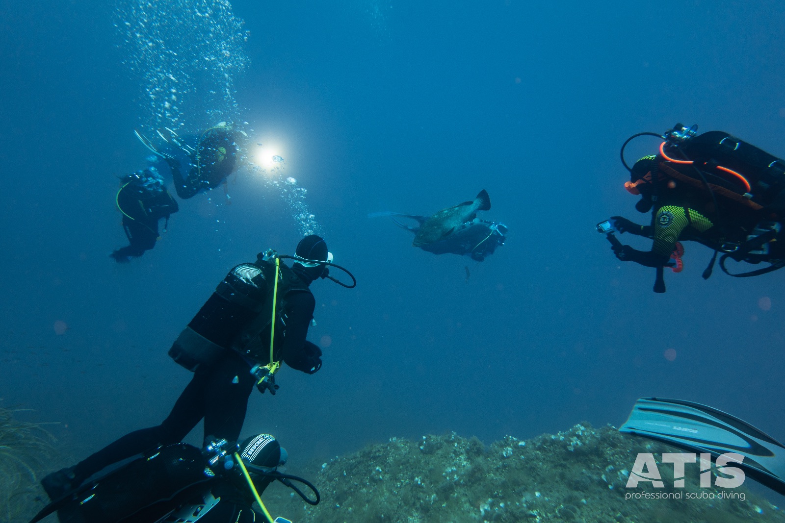 Vacanza Subacquea all'Isola d'Elba 2026 — 52