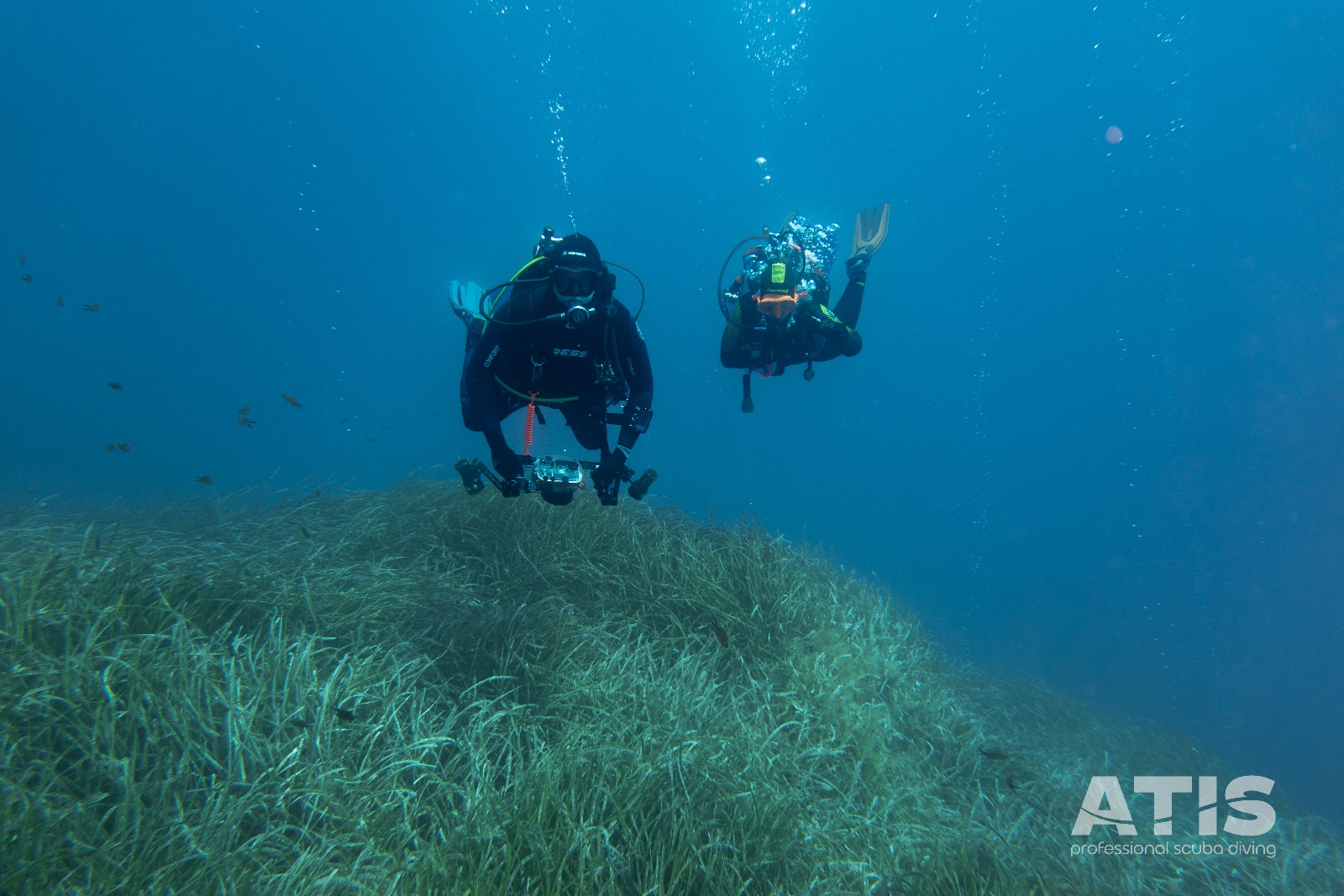 Vacanza Subacquea all'Isola d'Elba 2026 — 56