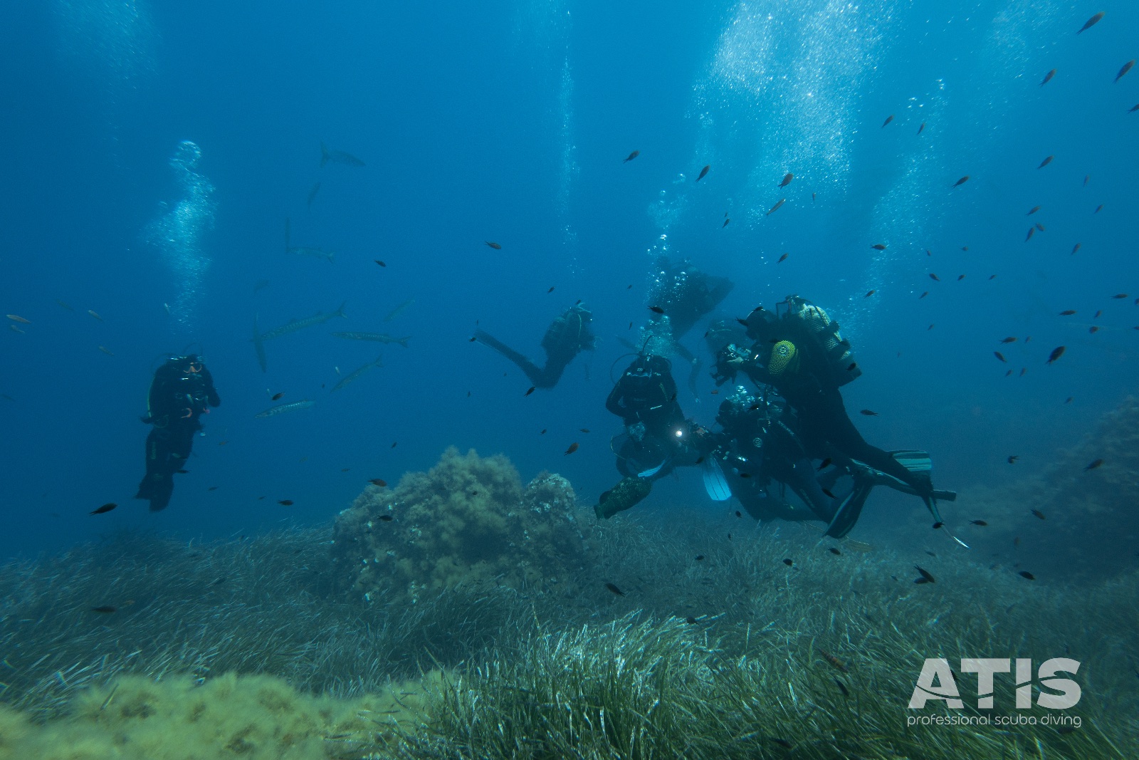 Vacanza Subacquea all'Isola d'Elba 2026 — 63