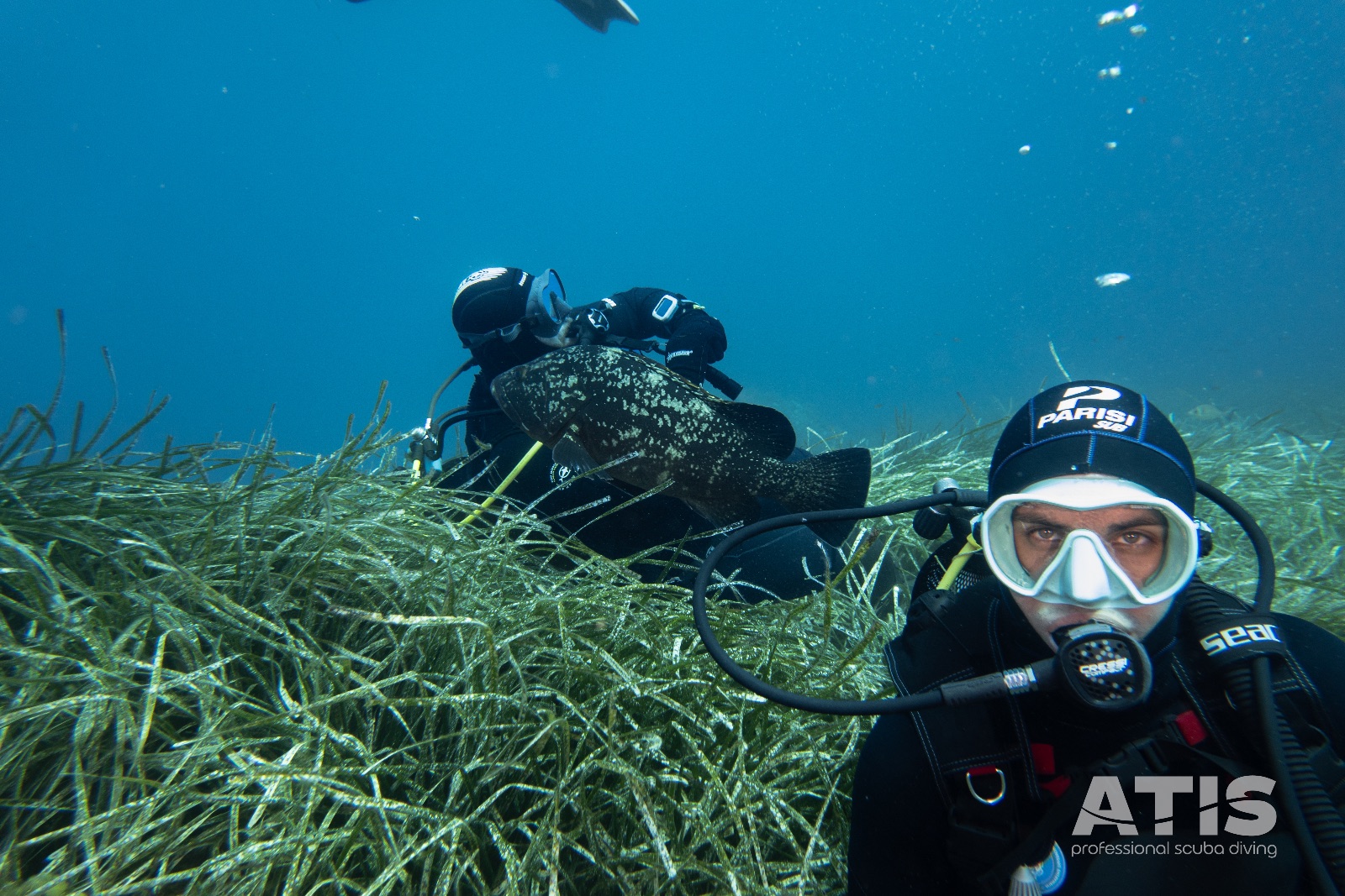 Vacanza Subacquea all'Isola d'Elba 2026 — 67