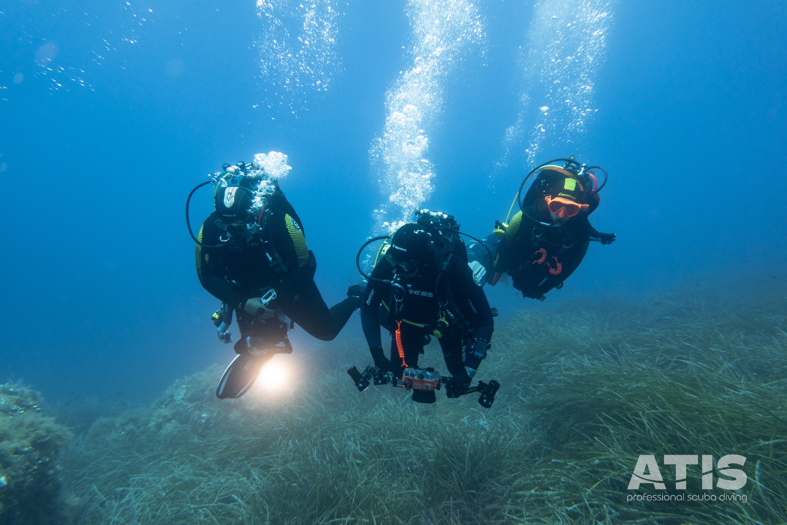 Vacanza Subacquea all'Isola d'Elba 2026 — 80
