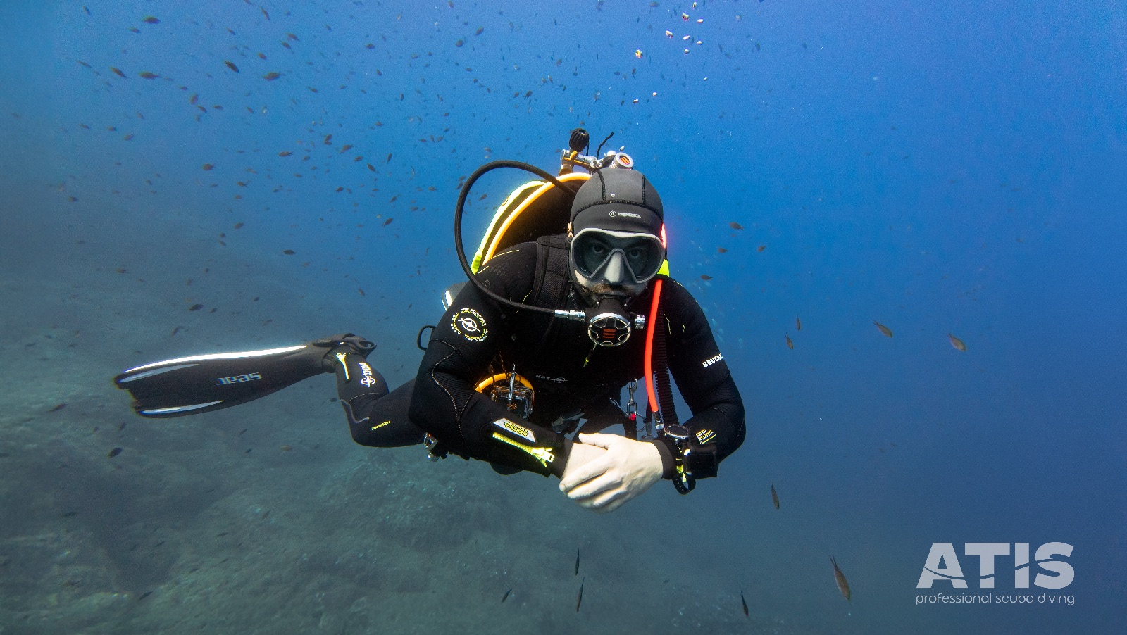 Vacanza Subacquea all'Isola d'Elba 2026 — 111