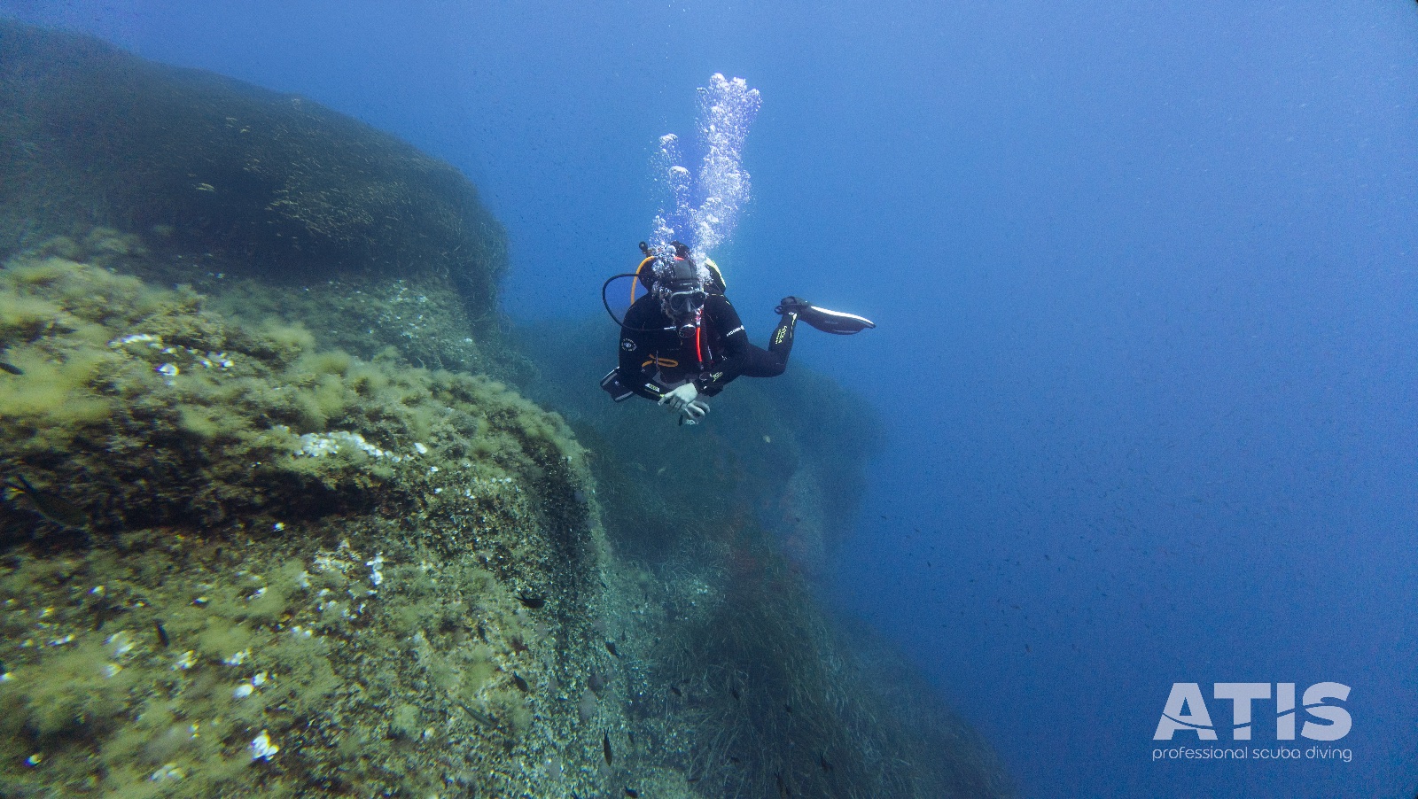 Vacanza Subacquea all'Isola d'Elba 2026 — 113