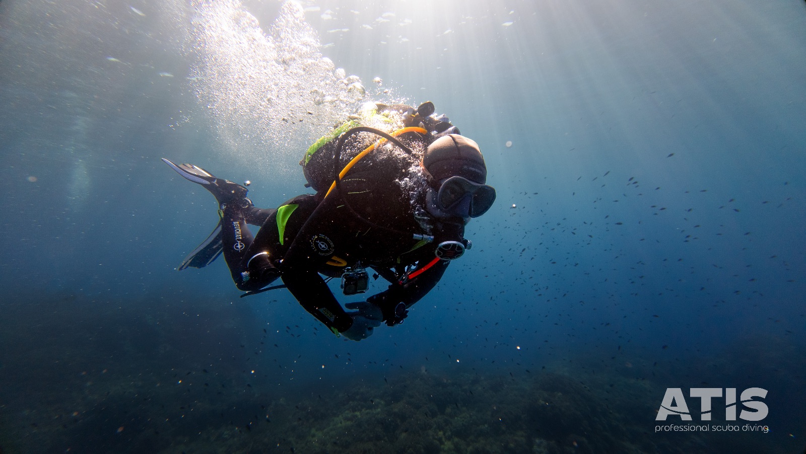 Vacanza Subacquea all'Isola d'Elba 2026 — 115