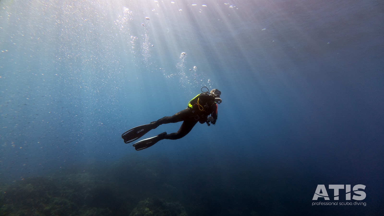 Vacanza Subacquea all'Isola d'Elba 2026 — 116