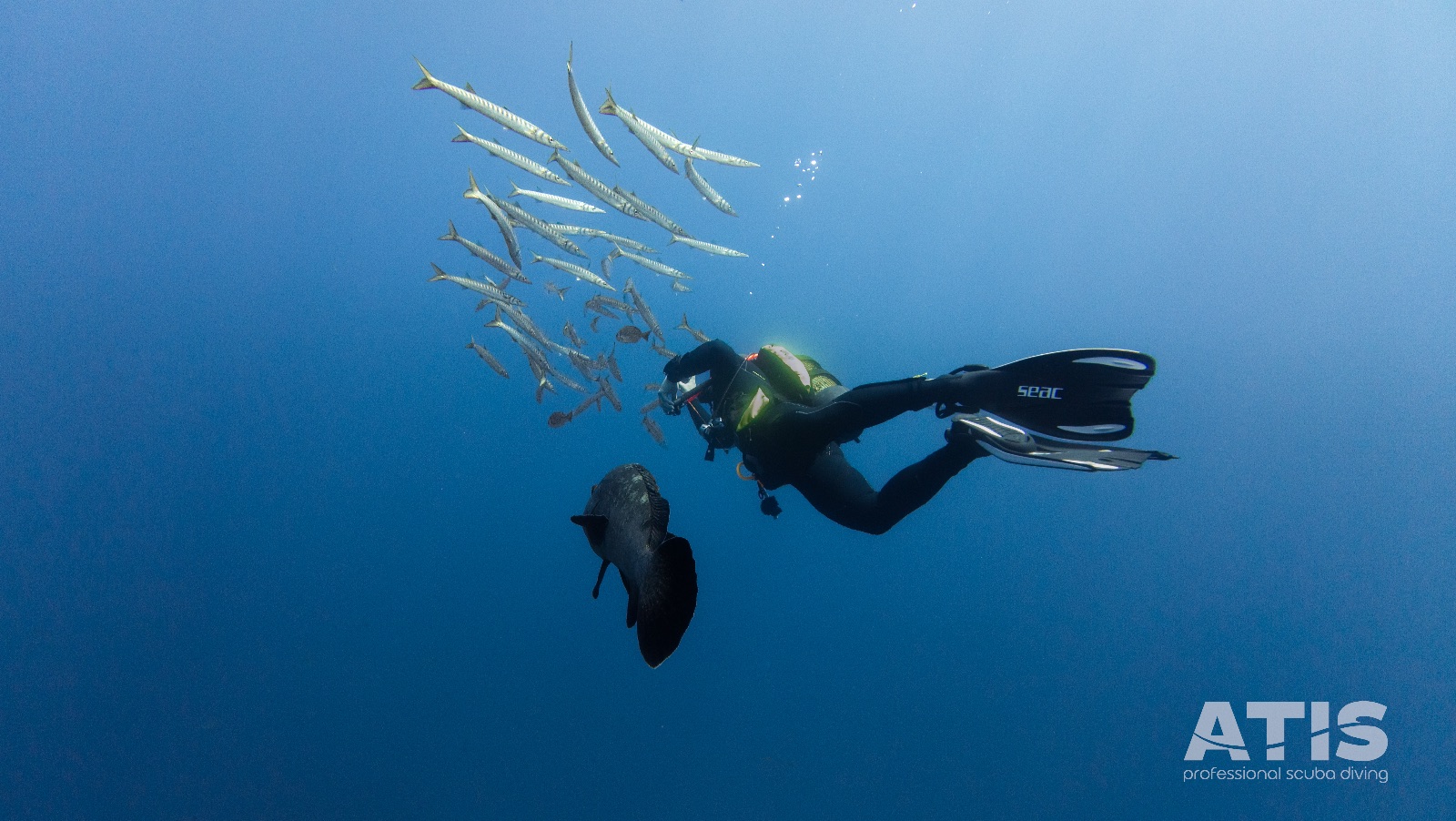 Vacanza Subacquea all'Isola d'Elba 2026 — 117