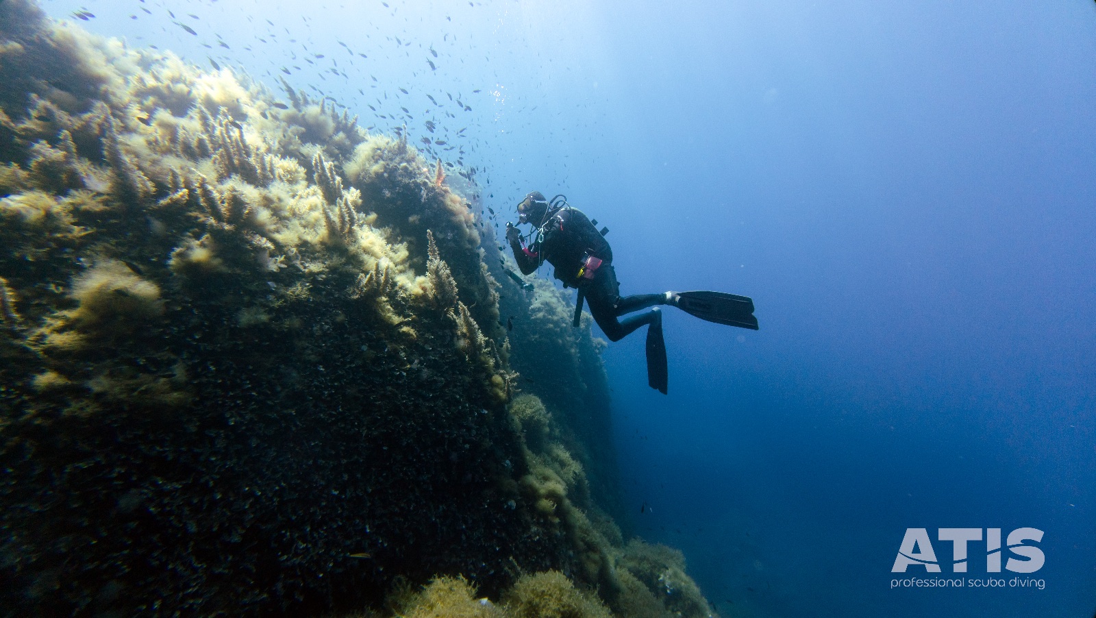 Vacanza Subacquea all'Isola d'Elba 2026 — 118