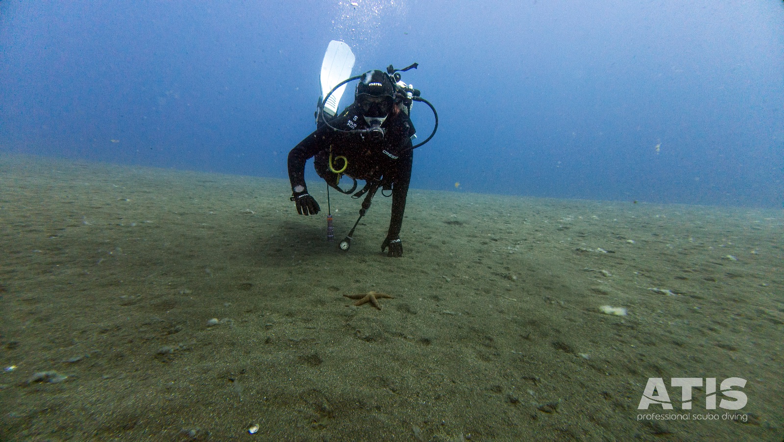 Vacanza Subacquea all'Isola d'Elba 2026 — 120
