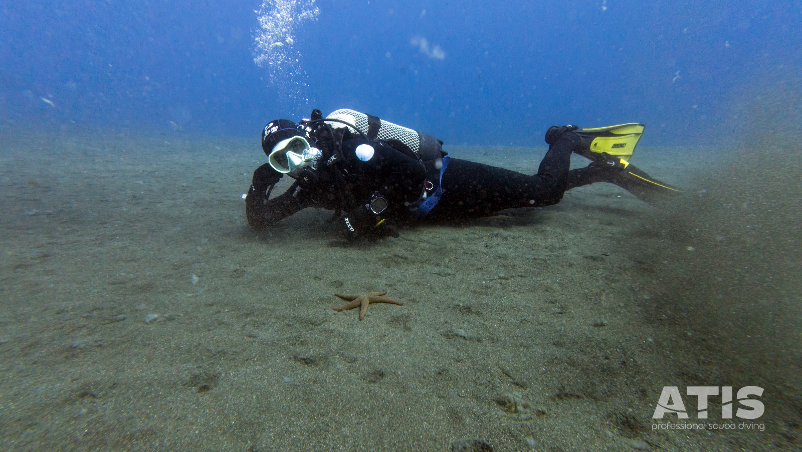 Vacanza Subacquea all'Isola d'Elba 2026 — 123
