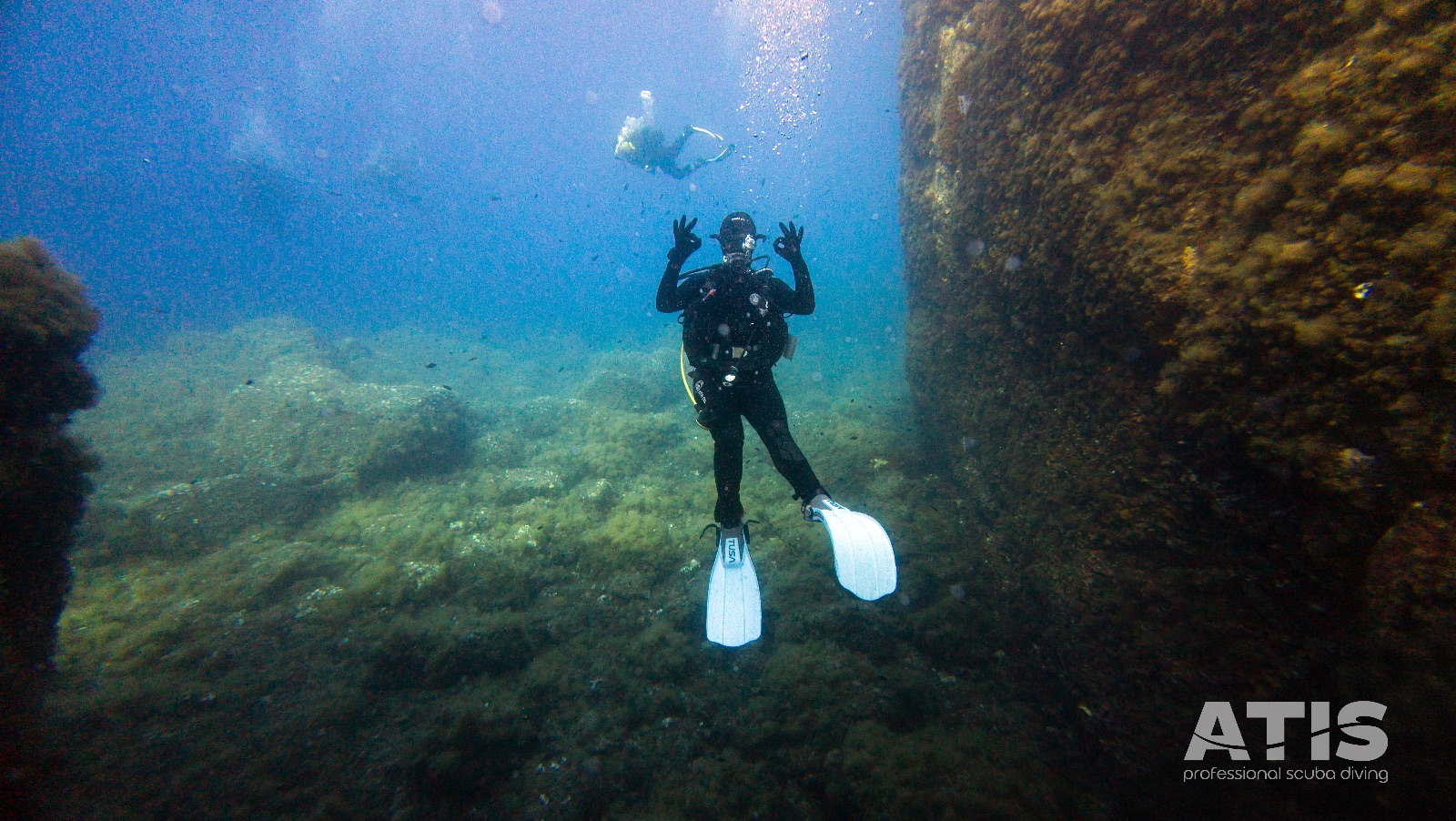 Vacanza Subacquea all'Isola d'Elba 2026 — 128