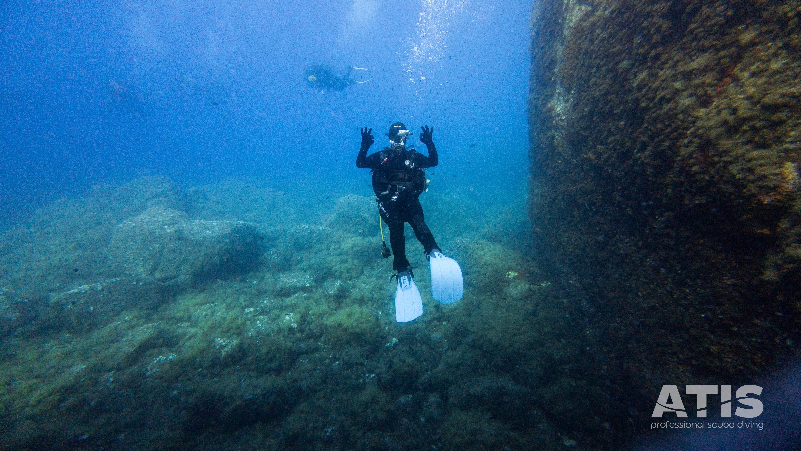 Vacanza Subacquea all'Isola d'Elba 2026 — 129