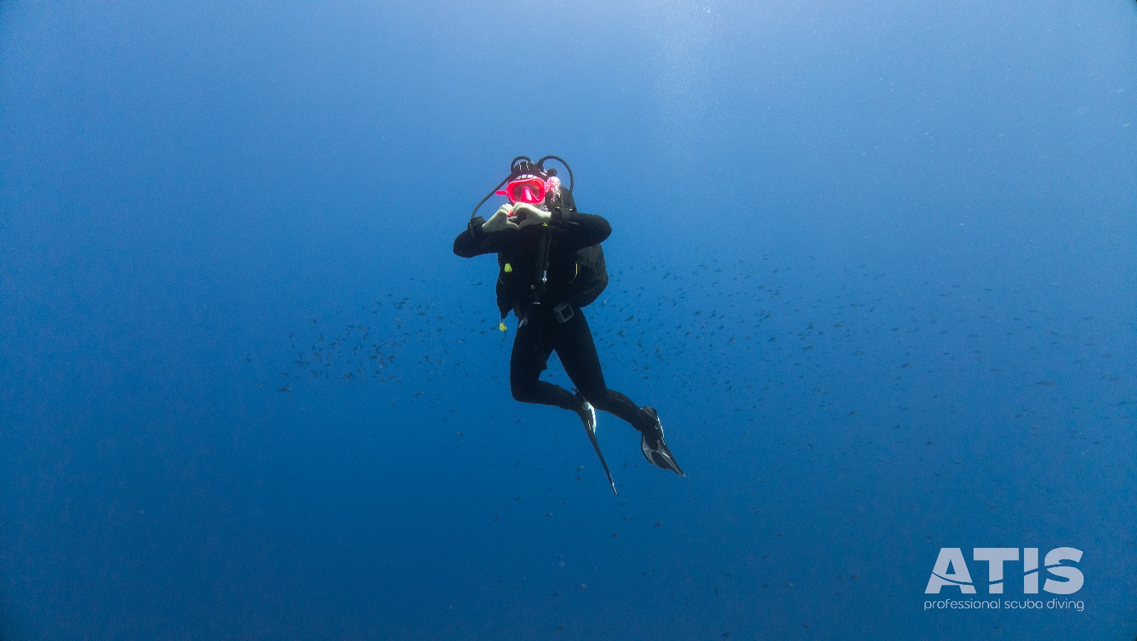 Vacanza Subacquea all'Isola d'Elba 2026 — 132