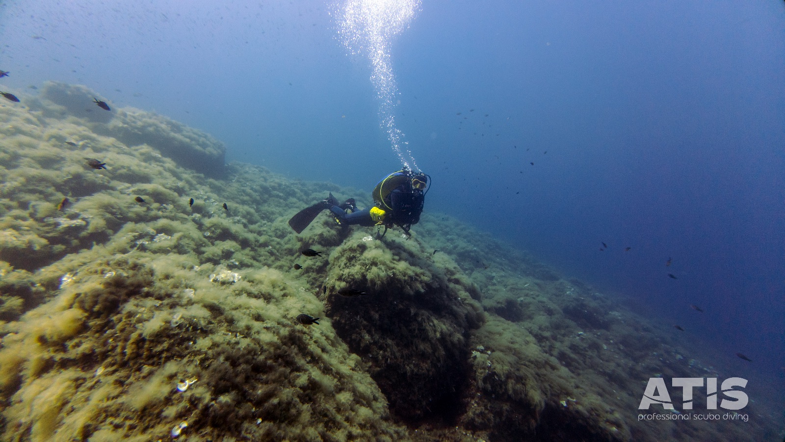 Vacanza Subacquea all'Isola d'Elba 2026 — 134