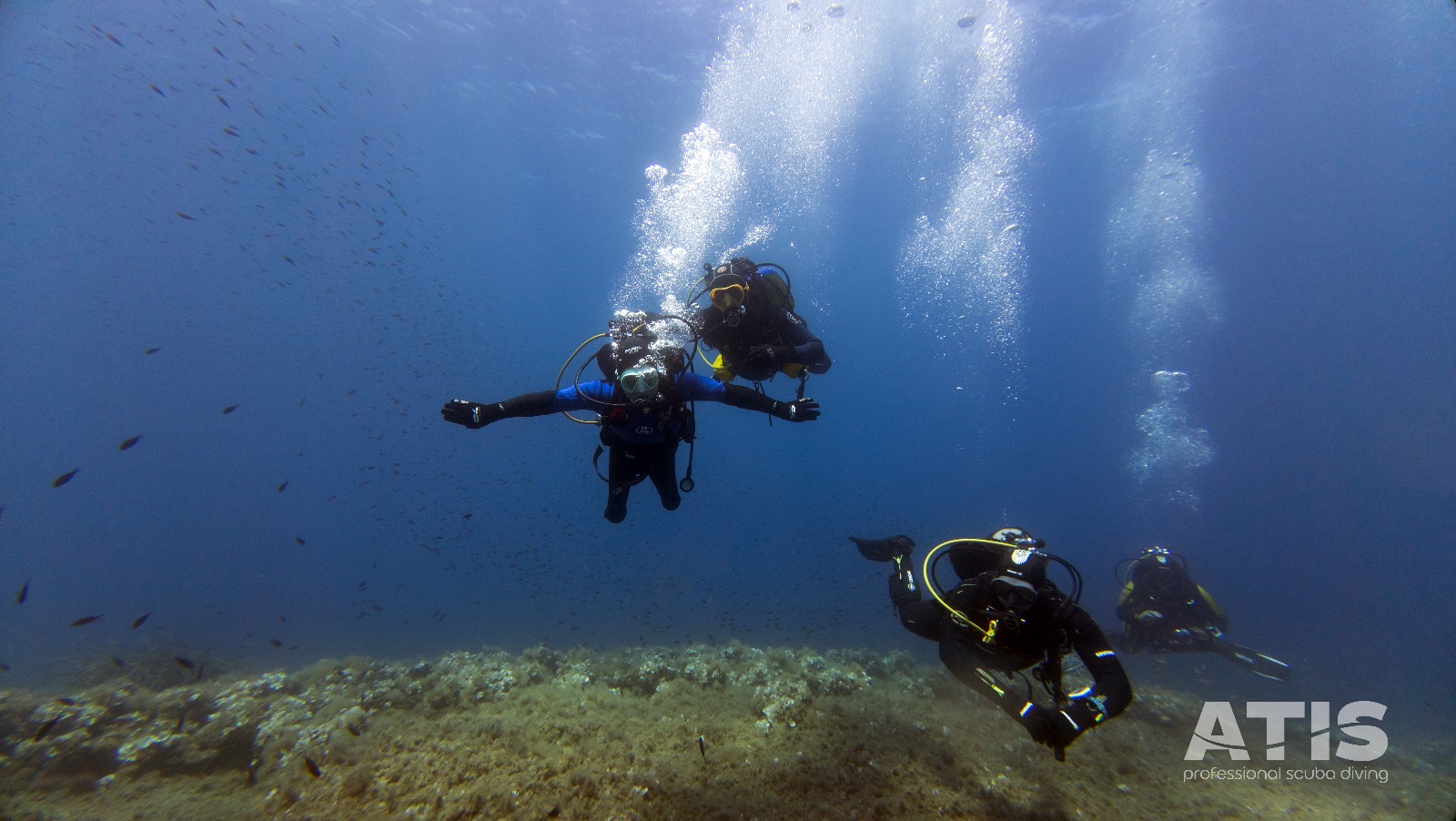Vacanza Subacquea all'Isola d'Elba 2026 — 135