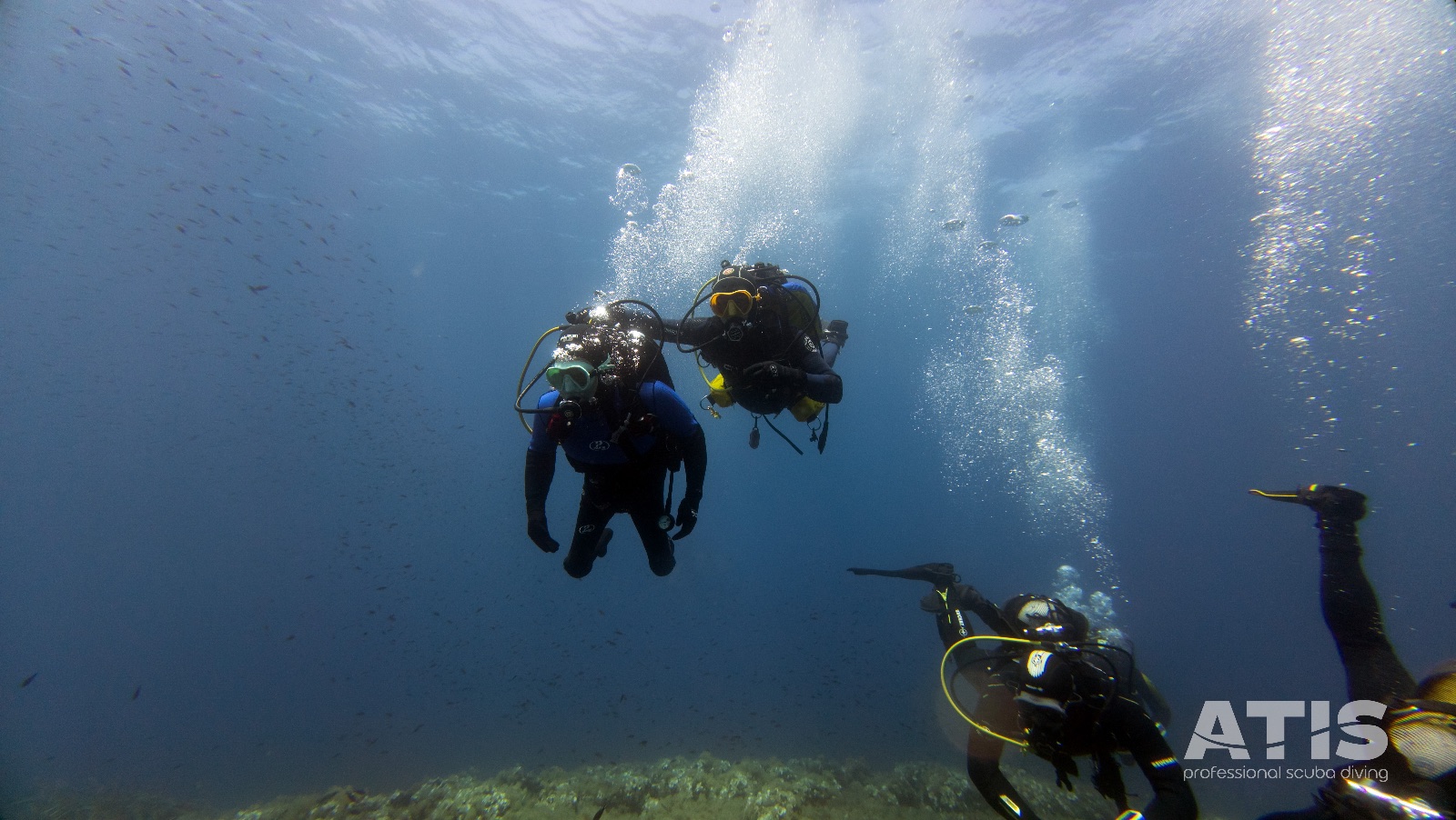 Vacanza Subacquea all'Isola d'Elba 2026 — 136