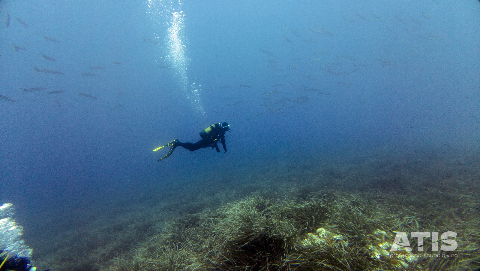 Vacanza Subacquea all'Isola d'Elba 2026 — 138