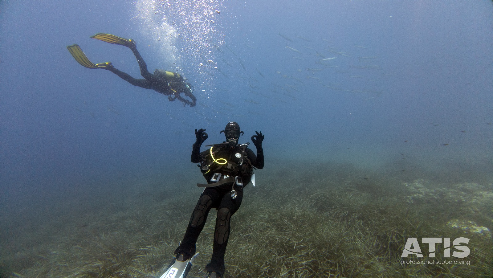 Vacanza Subacquea all'Isola d'Elba 2026 — 139