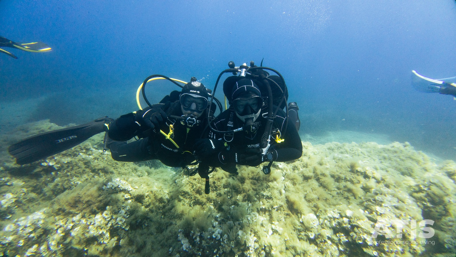 Vacanza Subacquea all'Isola d'Elba 2026 — 142