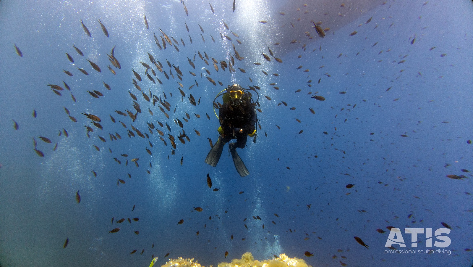 Vacanza Subacquea all'Isola d'Elba 2026 — 143