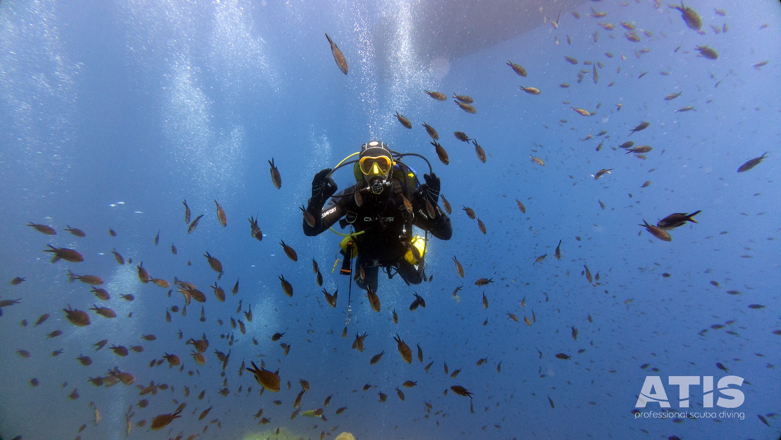 Vacanza Subacquea all'Isola d'Elba 2026 — 144