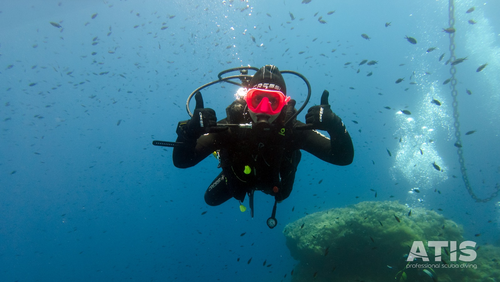 Vacanza Subacquea all'Isola d'Elba 2026 — 145