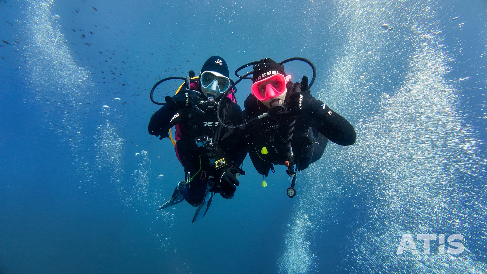 Vacanza Subacquea all'Isola d'Elba 2026 — 149