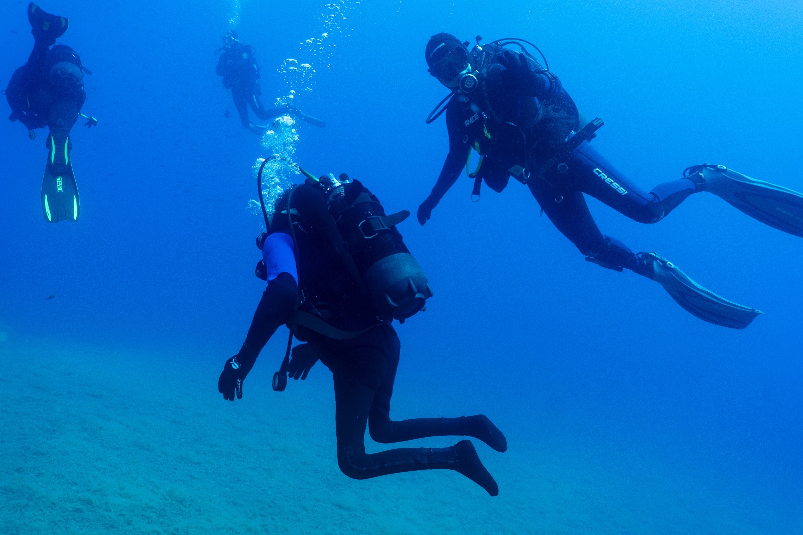 Vacanza Subacquea all'Isola d'Elba 2026 — 151