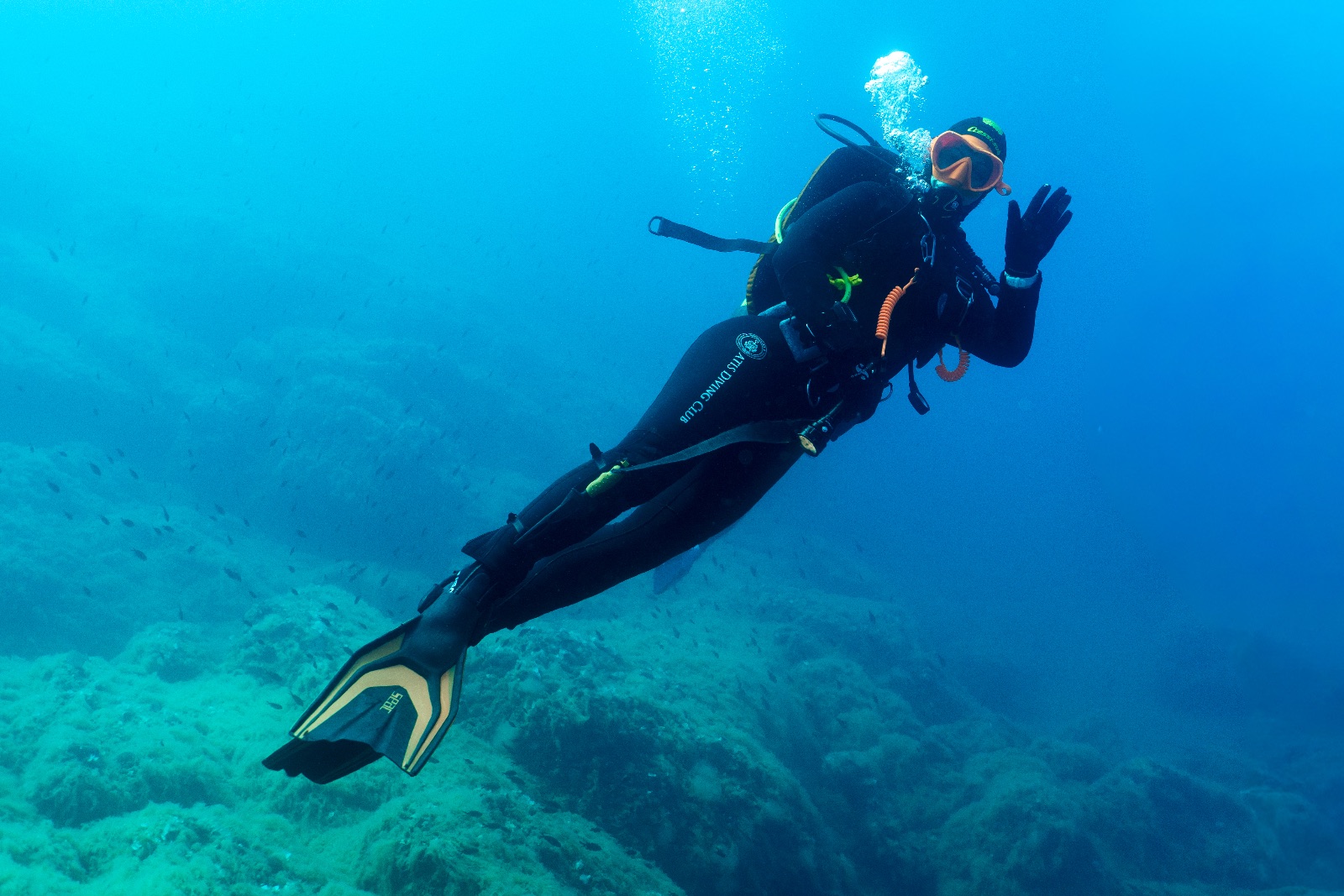 Vacanza Subacquea all'Isola d'Elba 2026 — 152