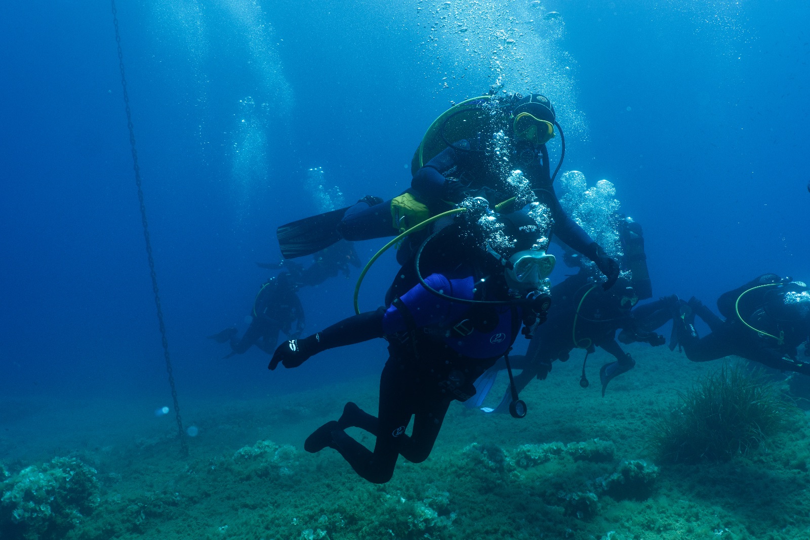 Vacanza Subacquea all'Isola d'Elba 2026 — 157