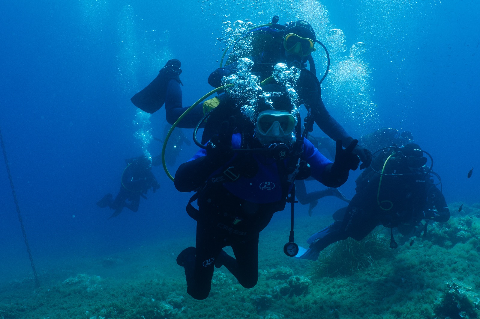 Vacanza Subacquea all'Isola d'Elba 2026 — 158