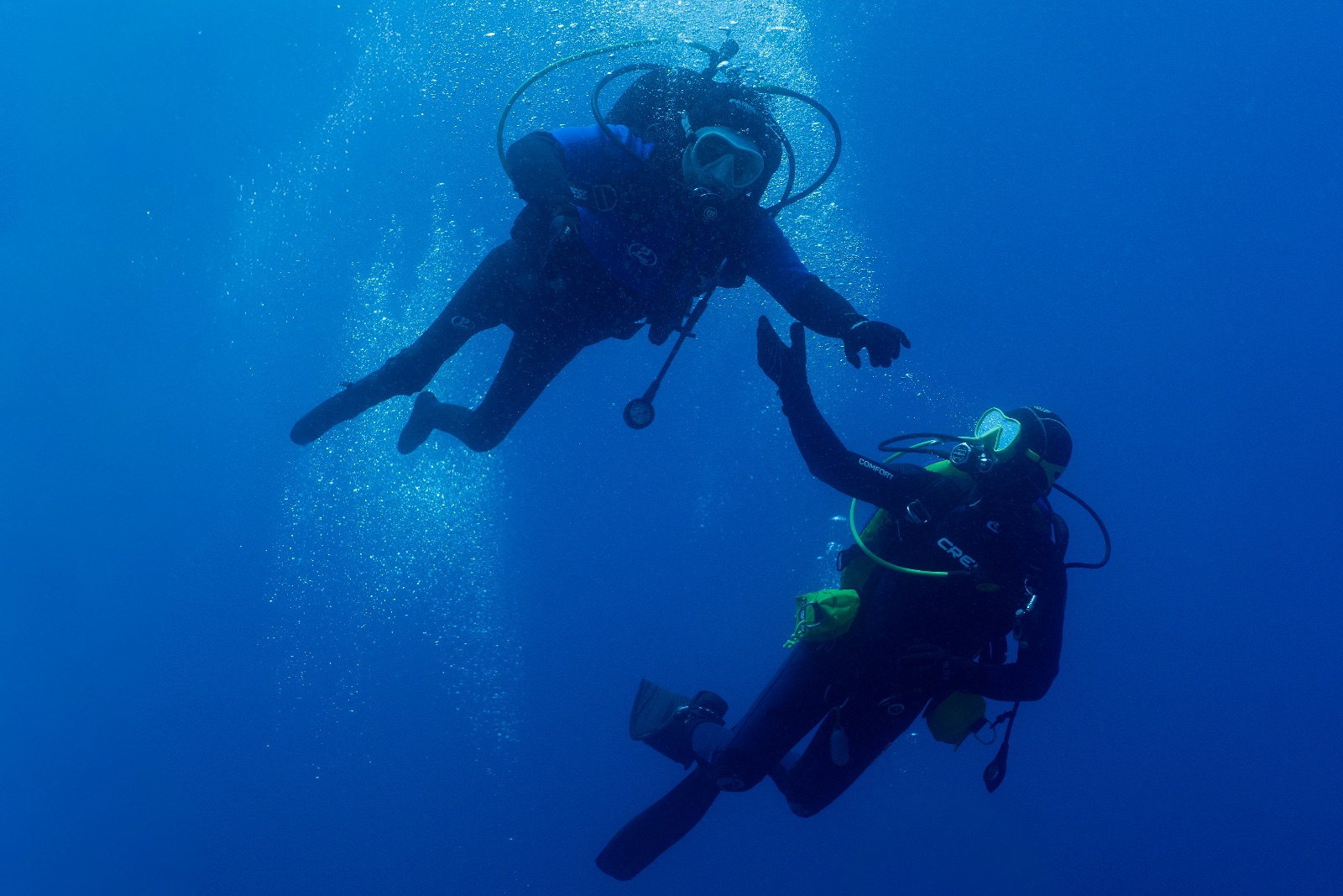 Vacanza Subacquea all'Isola d'Elba 2026 — 160