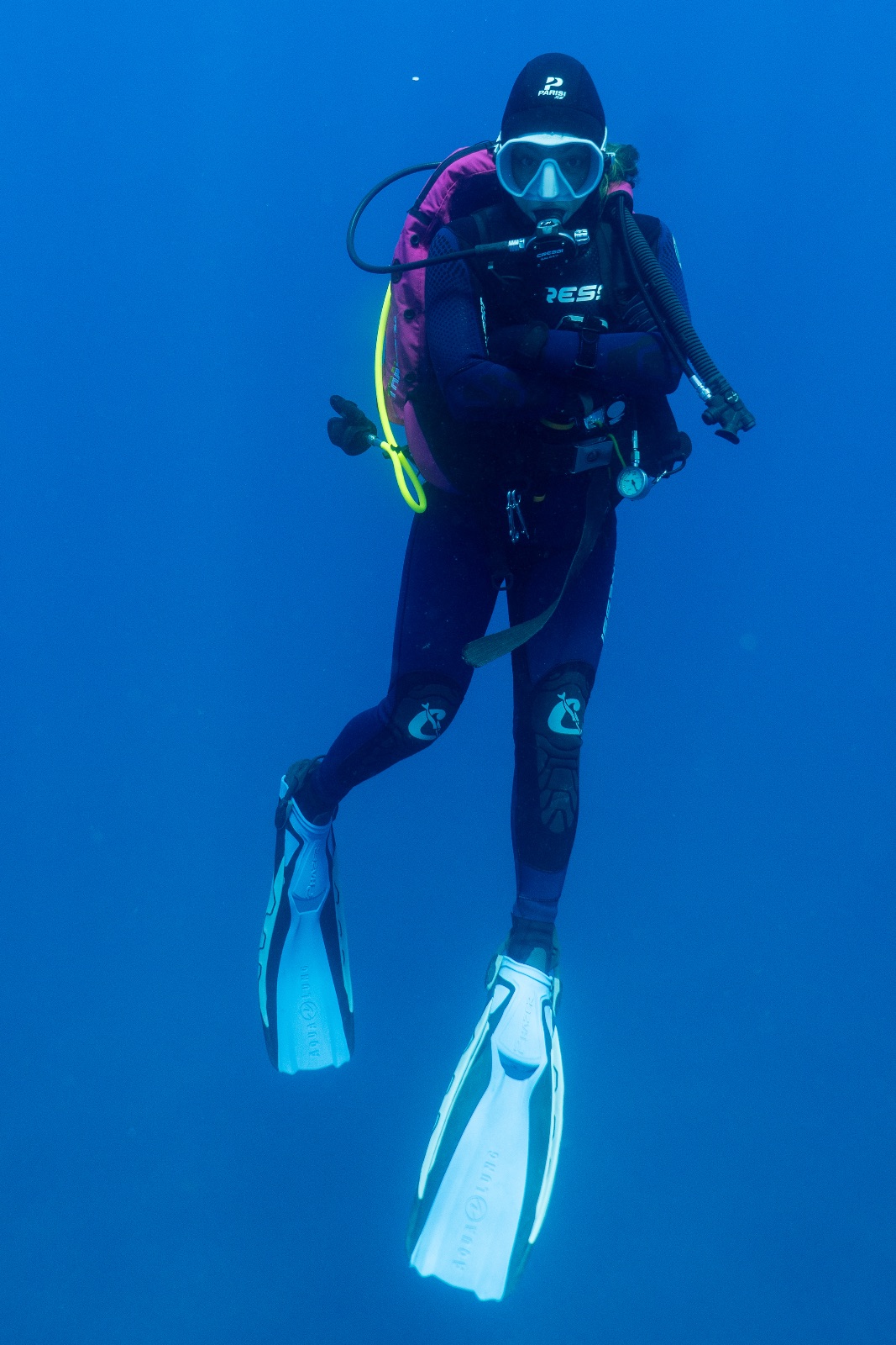 Vacanza Subacquea all'Isola d'Elba 2026 — 168