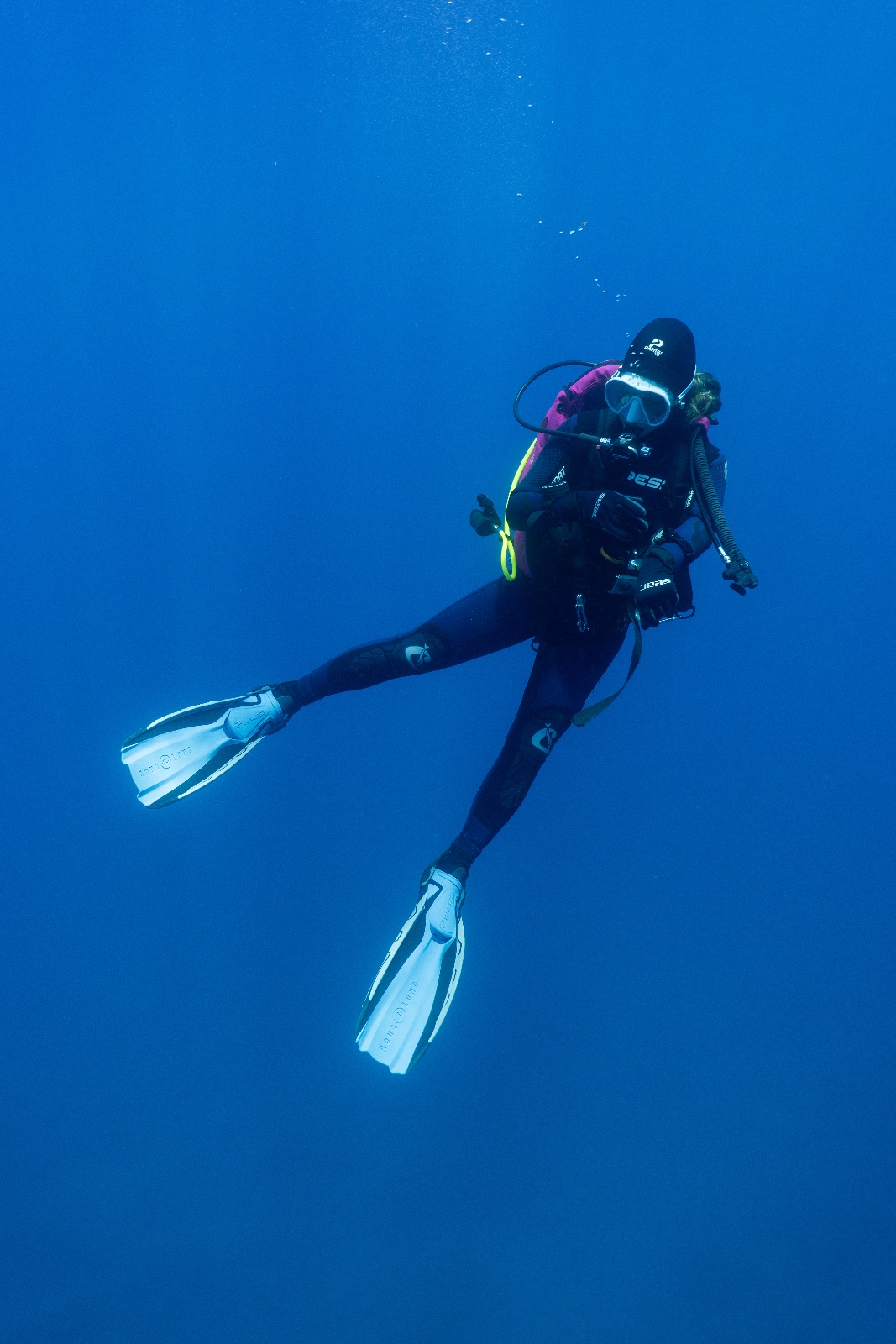 Vacanza Subacquea all'Isola d'Elba 2026 — 169