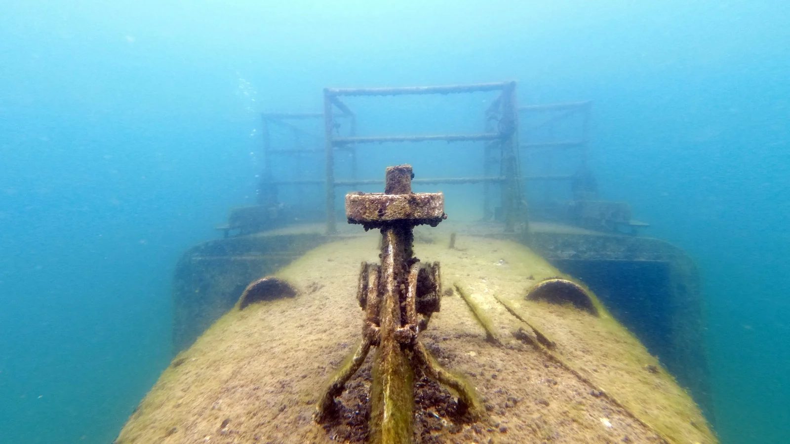 Immersione al Relitto Coltri