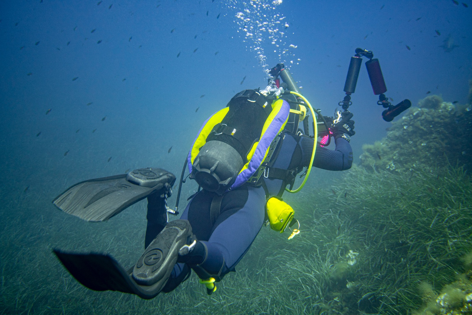 Vacanza Subacquea all'Isola d'Elba 2026 — 222