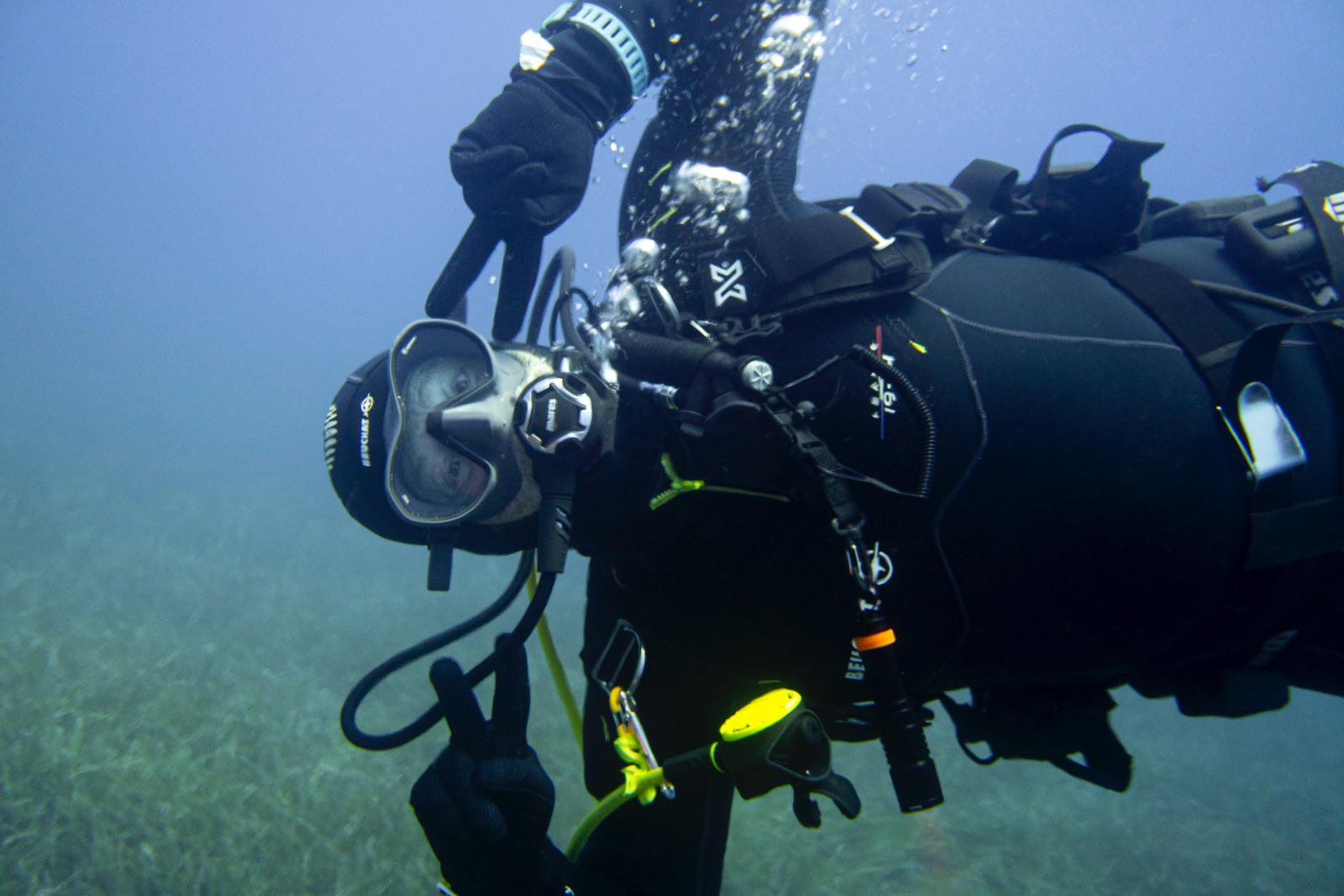 Vacanza Subacquea all'Isola d'Elba 2026 — 224