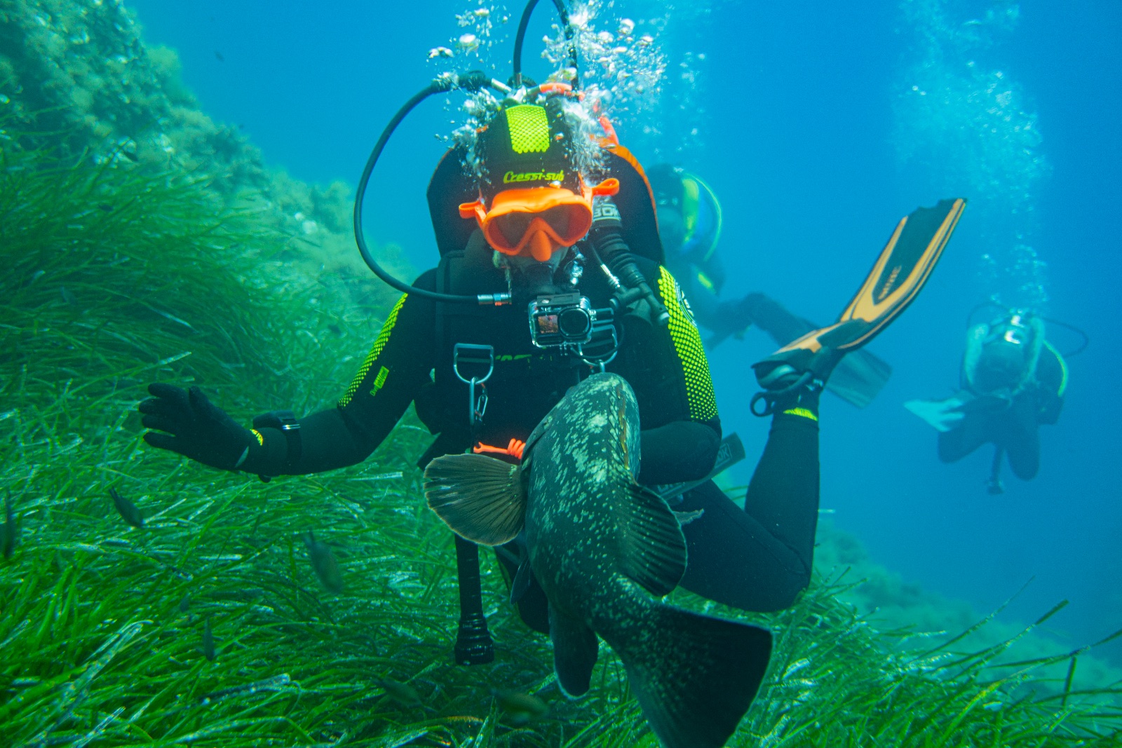 Vacanza Subacquea all'Isola d'Elba 2026 — 226