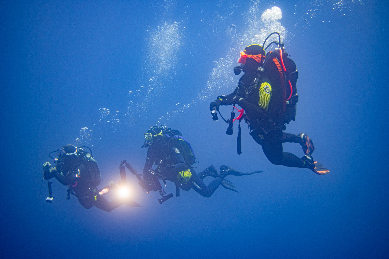 Vacanza Subacquea all'Isola d'Elba 2026 — 227