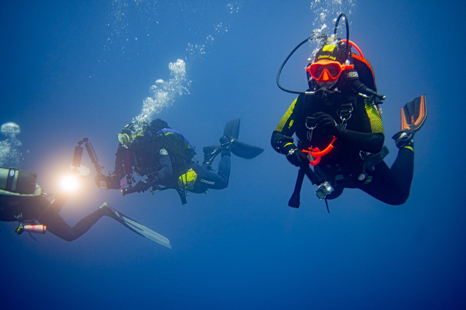 Vacanza Subacquea all'Isola d'Elba 2026 — 228