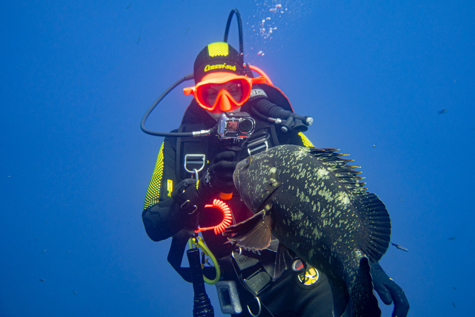 Vacanza Subacquea all'Isola d'Elba 2026 — 230