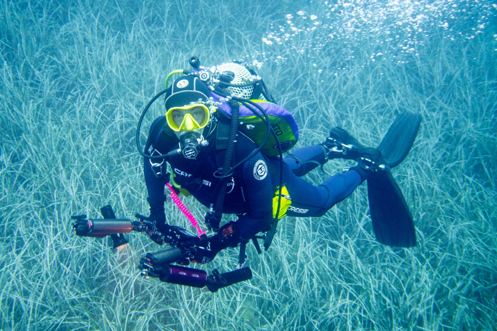 Vacanza Subacquea all'Isola d'Elba 2026 — 239