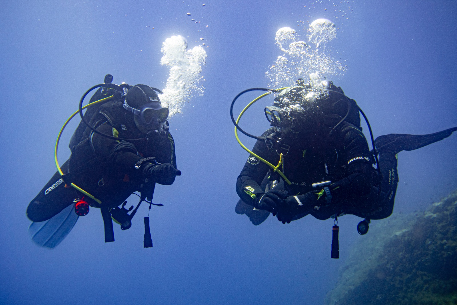 Vacanza Subacquea all'Isola d'Elba 2026 — 260