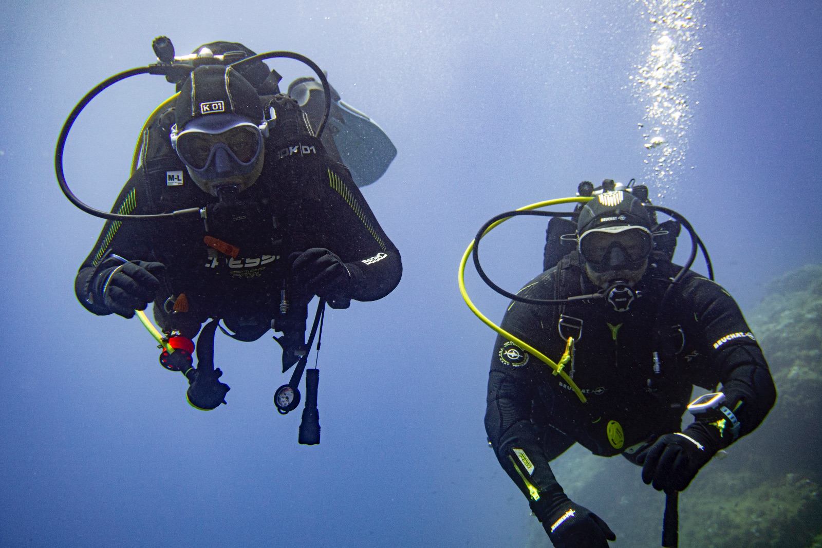Vacanza Subacquea all'Isola d'Elba 2026 — 261