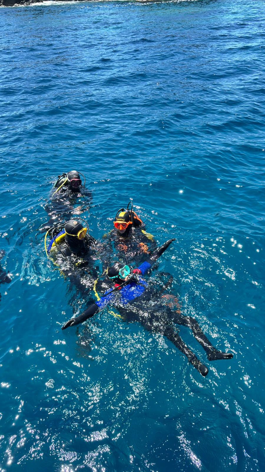 Vacanza Subacquea all'Isola d'Elba 2026 — 335