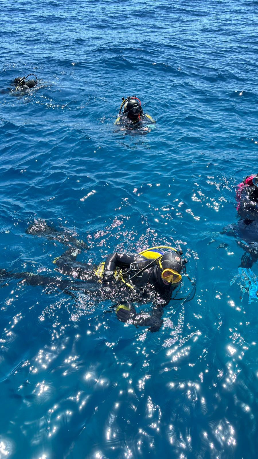 Vacanza Subacquea all'Isola d'Elba 2026 — 336